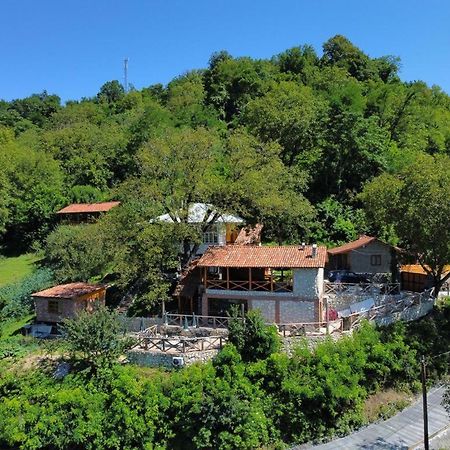 Sadmeli Winery Hotel Ambrolauri Exterior foto