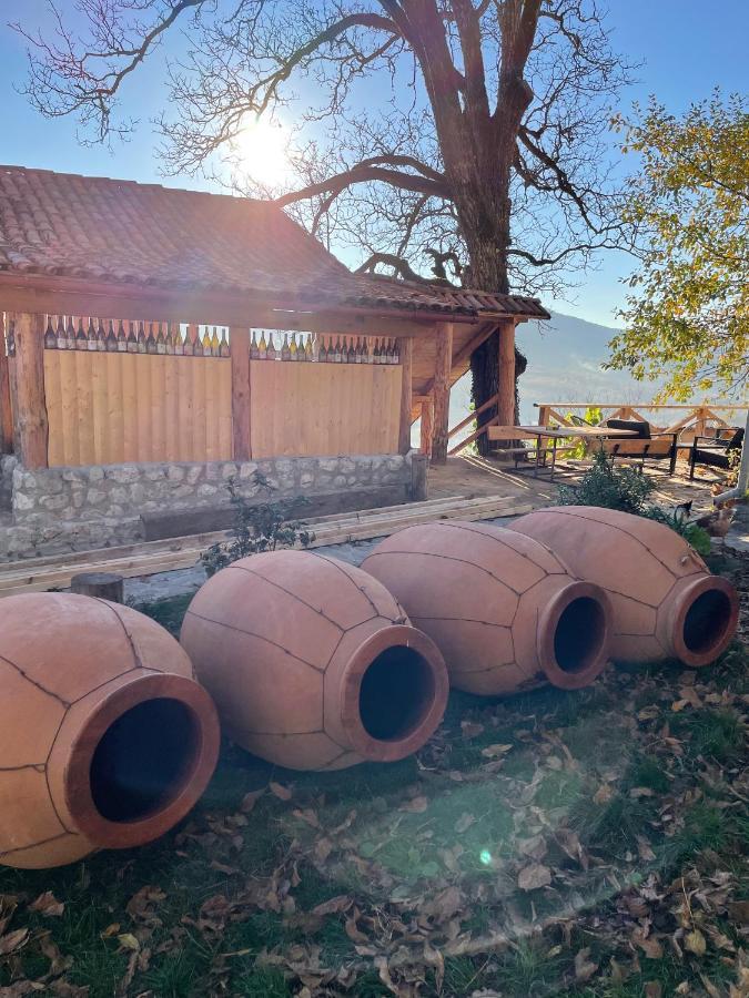 Sadmeli Winery Hotel Ambrolauri Exterior foto